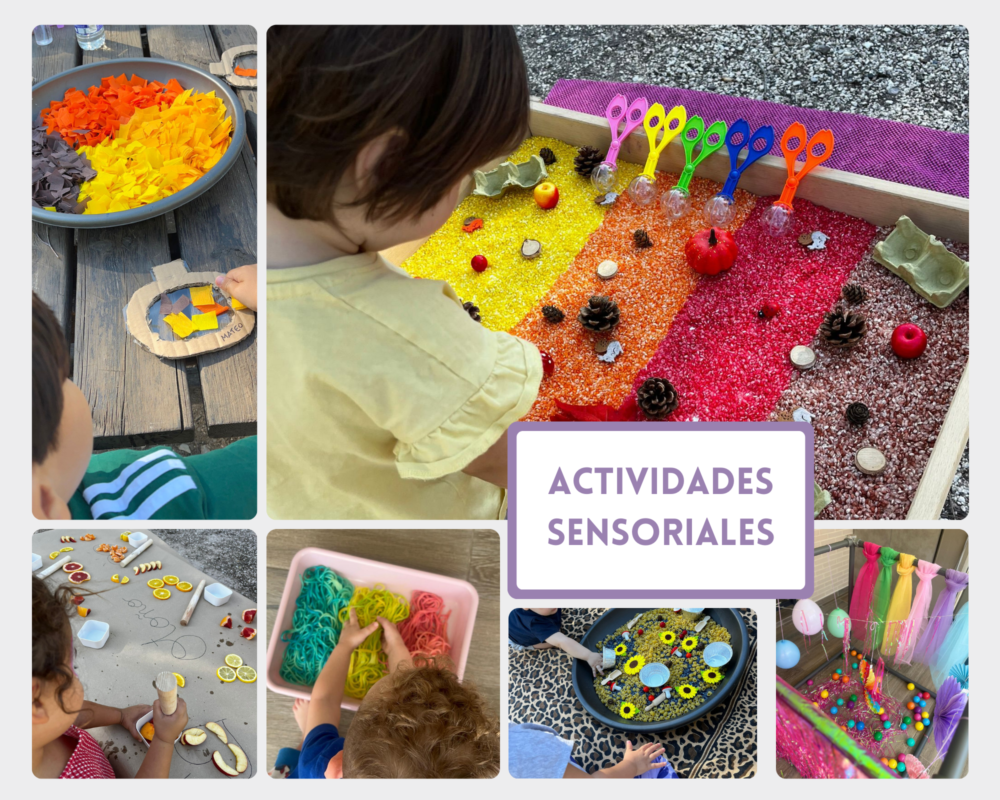 Actividades sensoriales